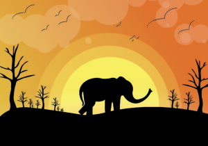 Coreldraw Work in MAAC Gurgaon