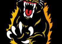 Coreldraw Work in MAAC Gurgaon